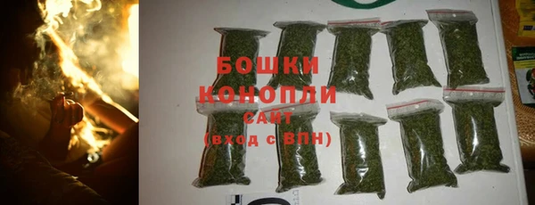 apvp Бородино