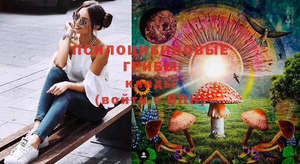 apvp Бородино