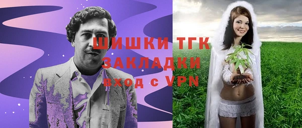 apvp Бородино