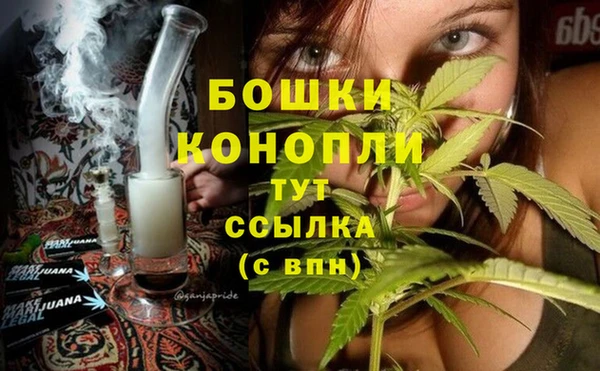 apvp Бородино