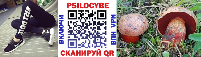 Галлюциногенные грибы мицелий Гусь-Хрустальный